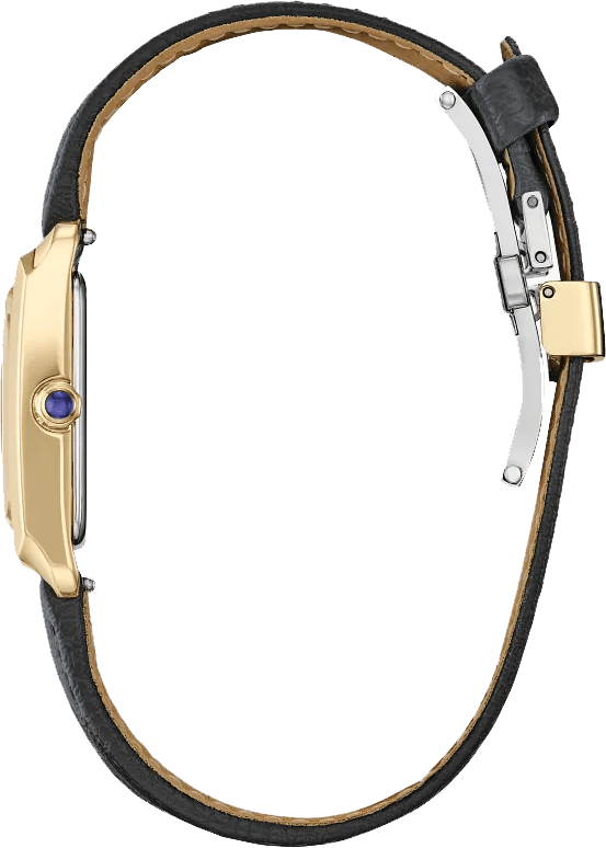 Citizen Eco Drive EW5622 - 09P - Starbuy Australia