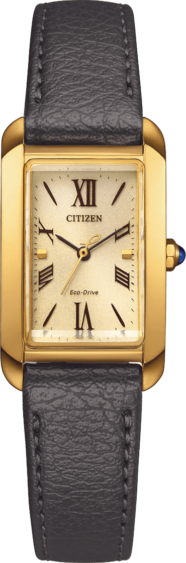 Citizen Eco Drive EW5622 - 09P - Starbuy Australia