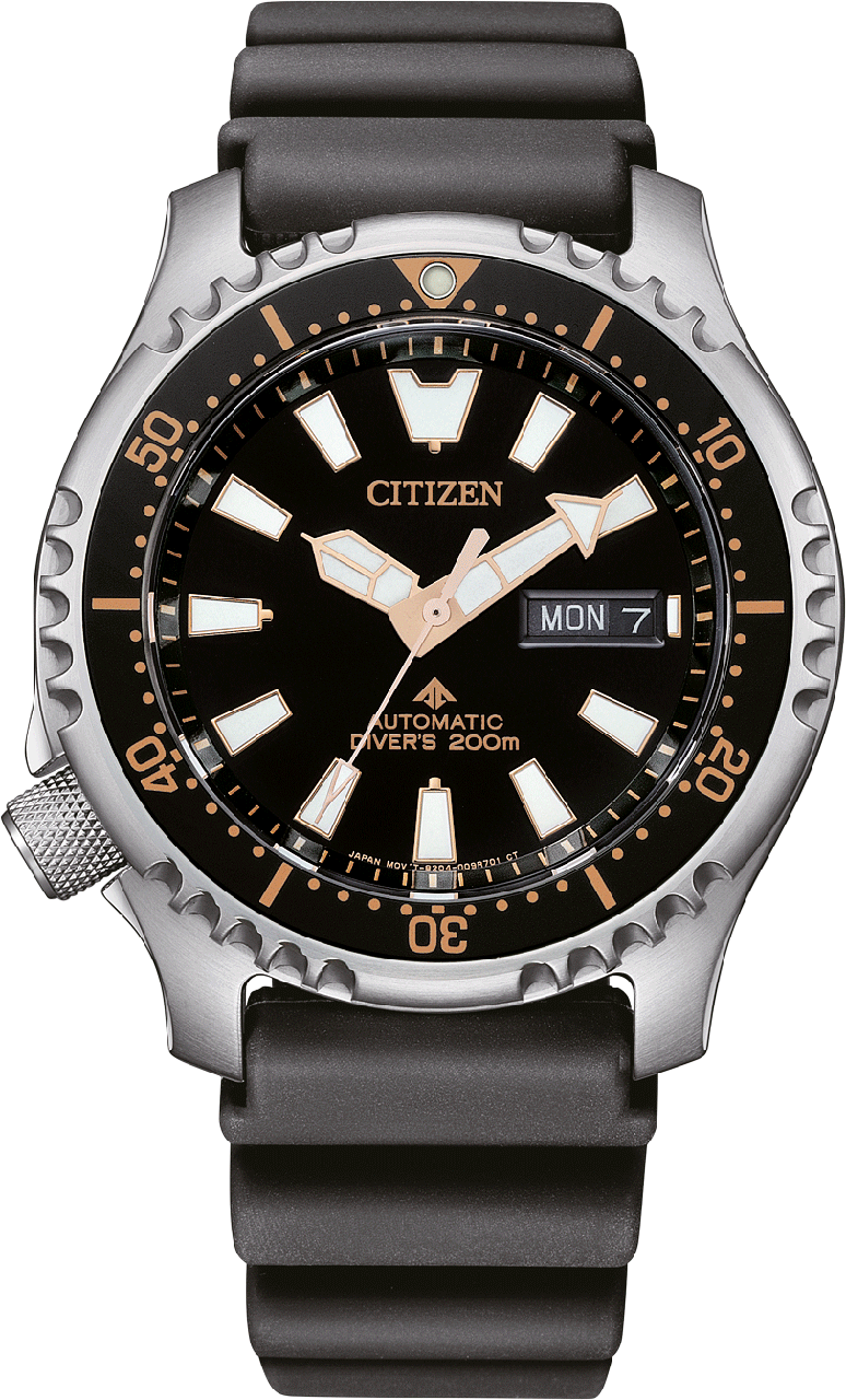 Citizen Promaster 42mm NY0160 - 66E - Starbuy Australia