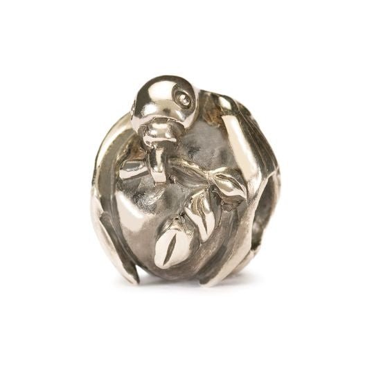 Trollbeads Pax - Starbuy Australia