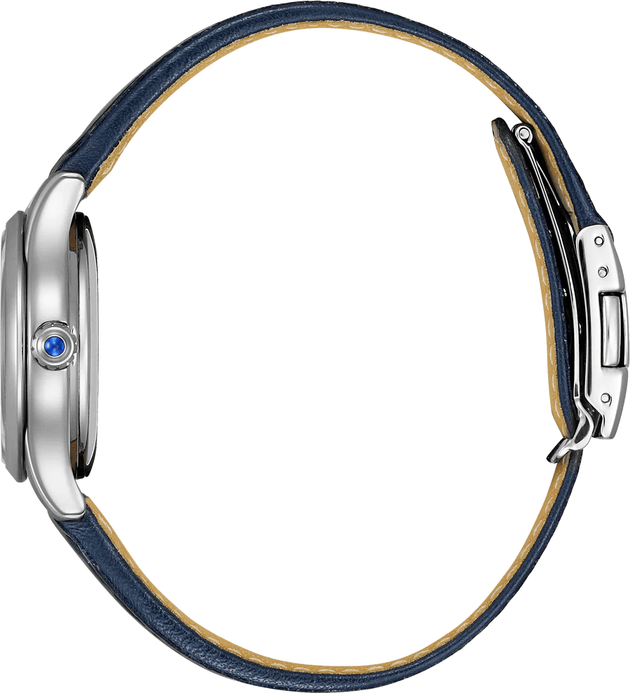 Citizen Automatic 29mm PR1041 - 18N - Starbuy Australia